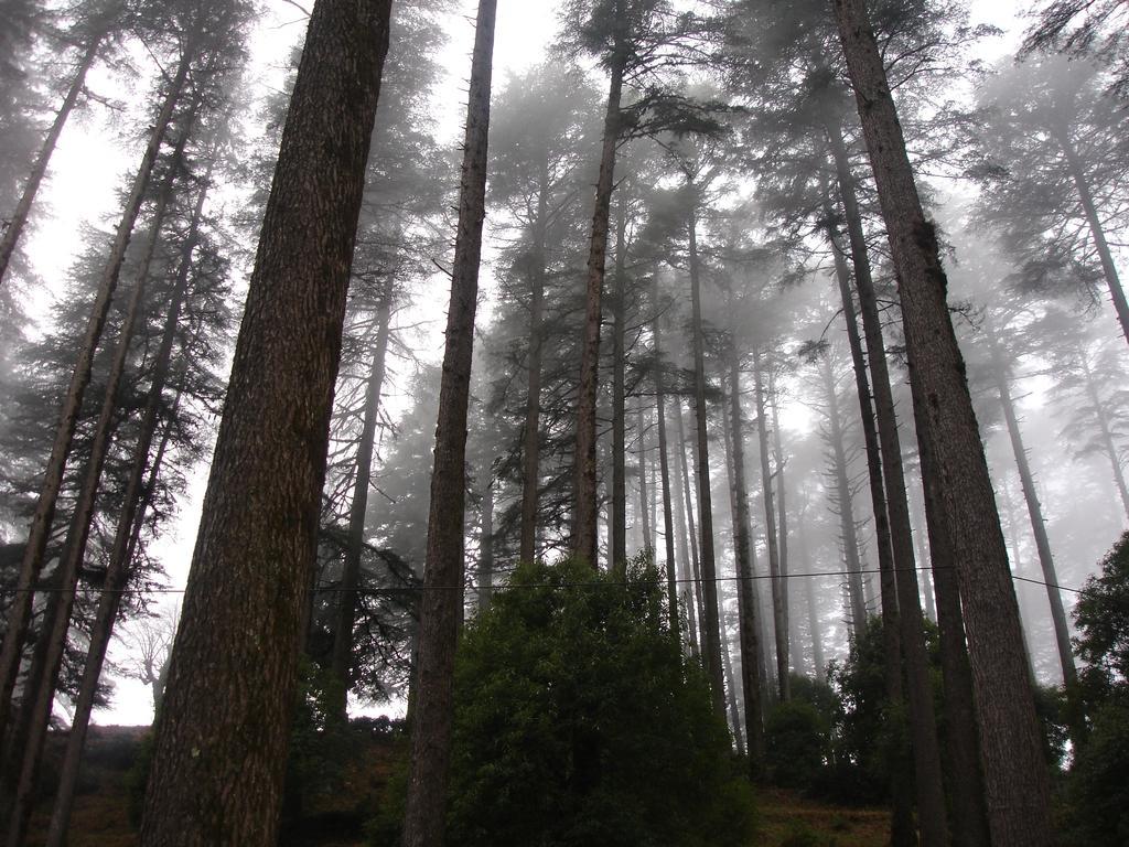 Honeymoon Inn Mussoorie Eksteriør bilde